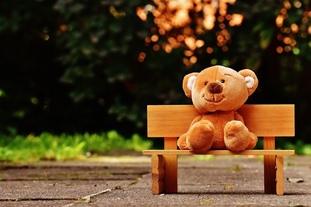 Brown Teddy Bear on Brown Wooden Bench Outside